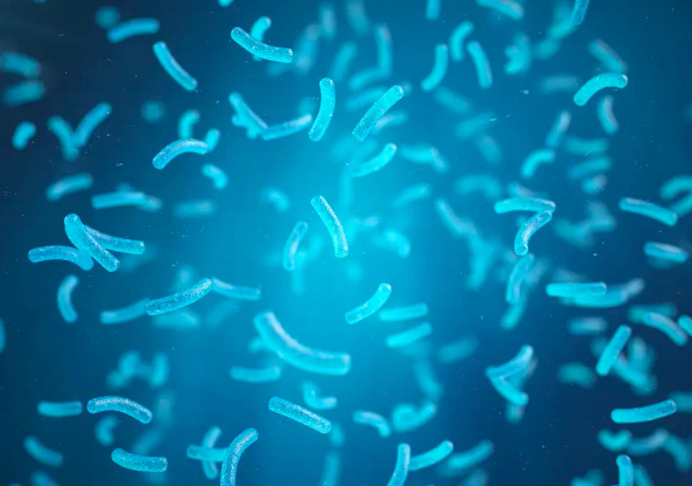 非洲大批黑猩猩感染人类病毒，变成丑八怪，科学家无法治疗