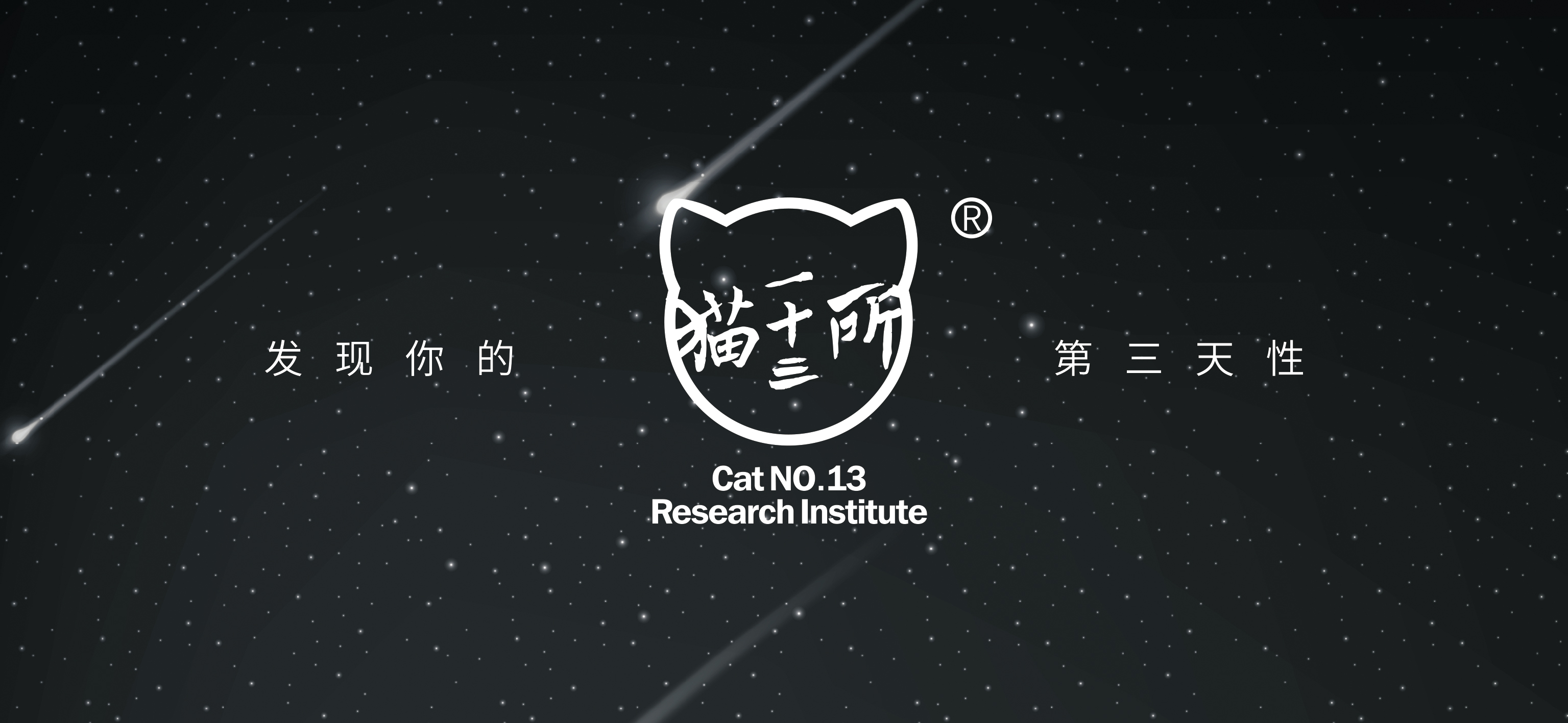 猫怀孕有哪些特征,猫怀孕的时候有什么特征