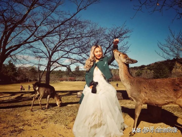 日本旅游感受日本的文化,日本旅游体验感