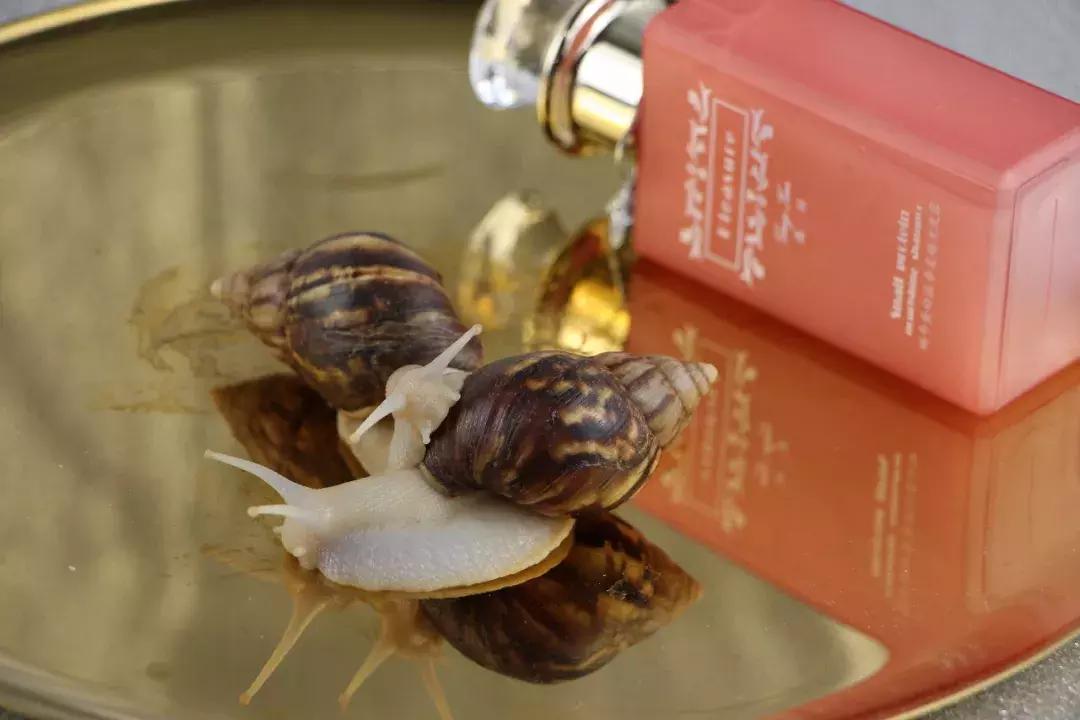 导致脱发的罪魁祸首你都了解,引起脱发的十大原因