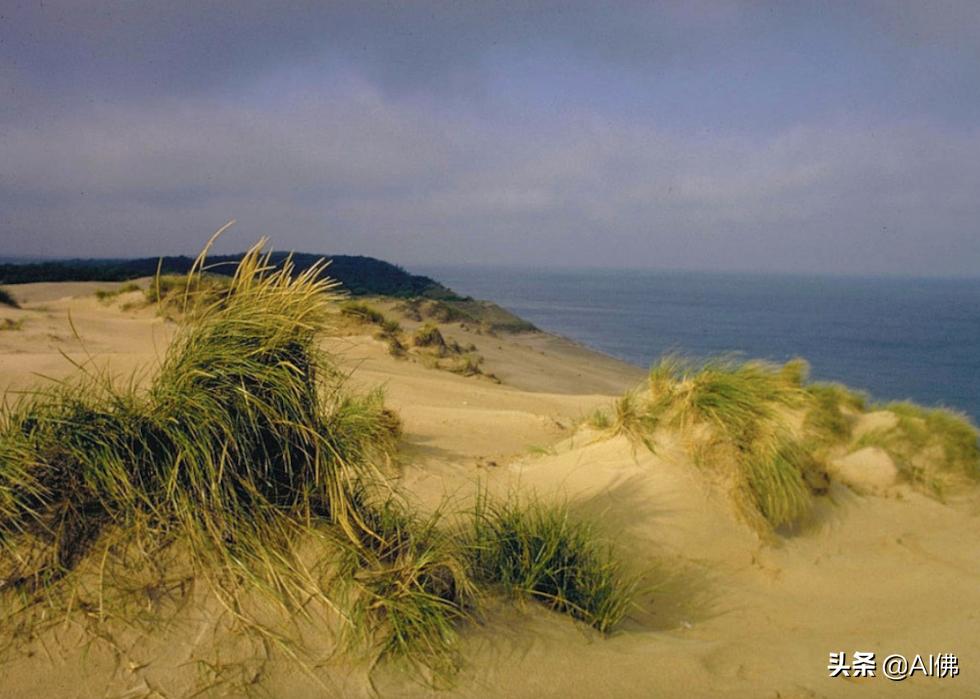 美国最受欢迎的五个州,美国最受欢迎的景点排行榜