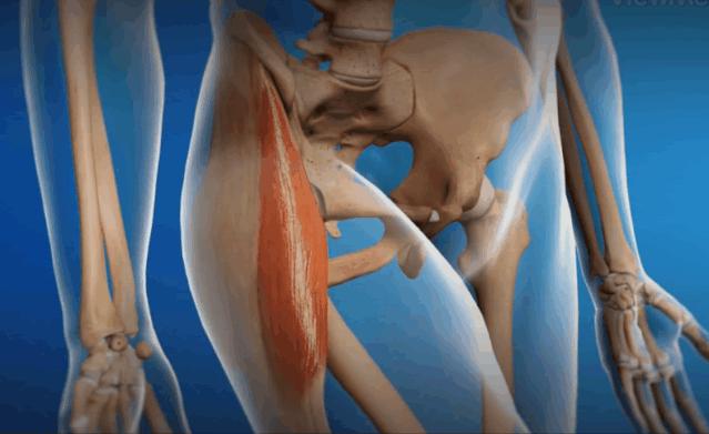 稍微运动浑身咔咔响,为什么运动的时候身体咔咔的响