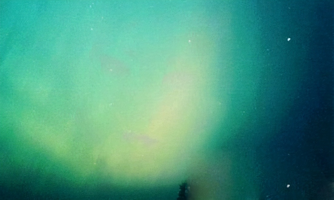 神秘海底生物未解之谜大记录,迷你世界神秘生物未解之谜