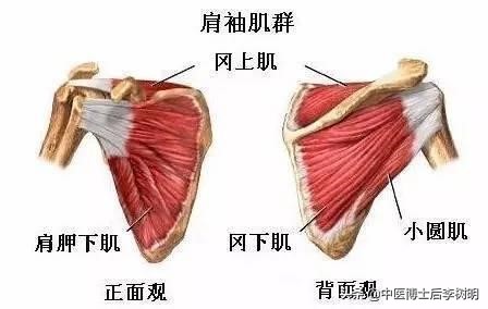 一招弄清你是肩膀痛还是肩周炎,老中医肩周炎肩膀疼一招立刻解决