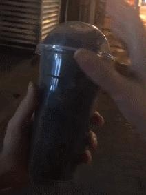 猫的内在品质,猫的本质就是嫌弃主人