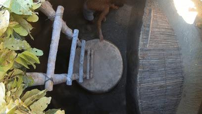 木棍怎么挖出泳池,一根棍子挖出一个游泳池