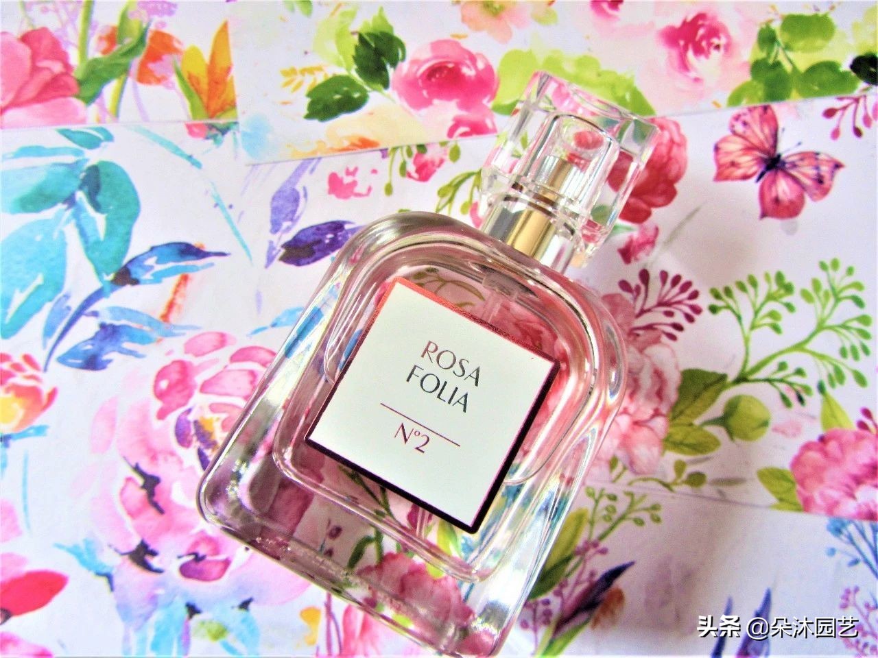 鲜花与香水,鲜花与香水拍摄