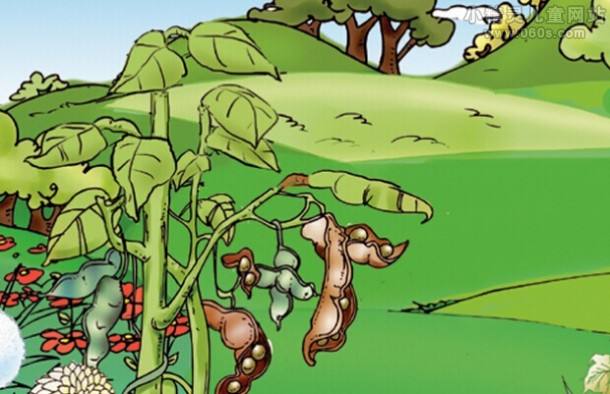 植物妈妈有办法二年级仿写凤仙花,植物妈妈有办法课后仿写教学设计