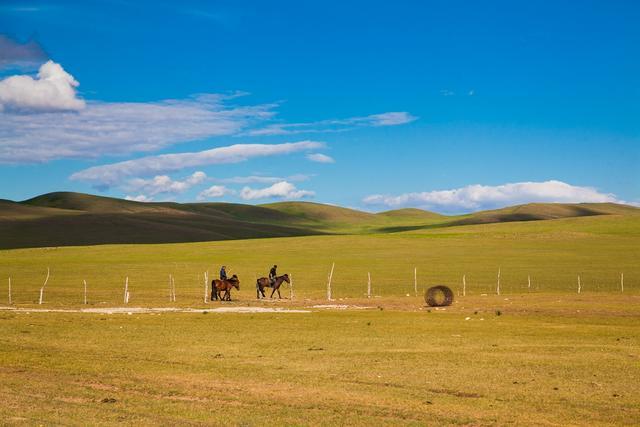 用骨头拼成的工艺品,用骨头做的蒙古艺术