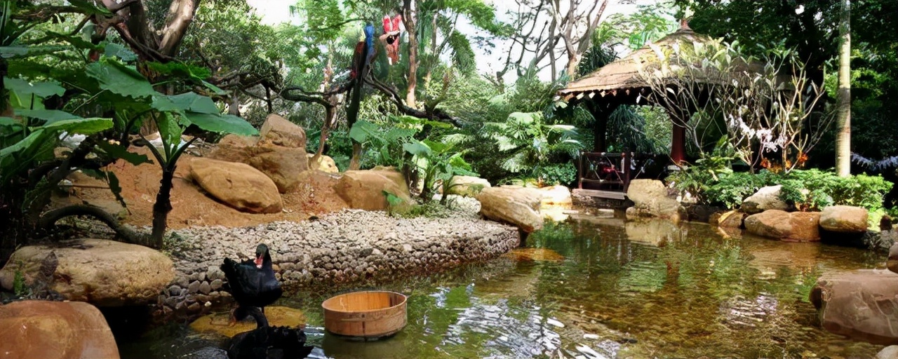 广州长隆野生动物世界附近的酒店,广州长隆酒店福利待遇