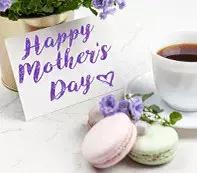 一休起跑线,一休幼儿园挑战赛完整版