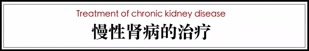 猫病视频,猫肾脏病视频大全