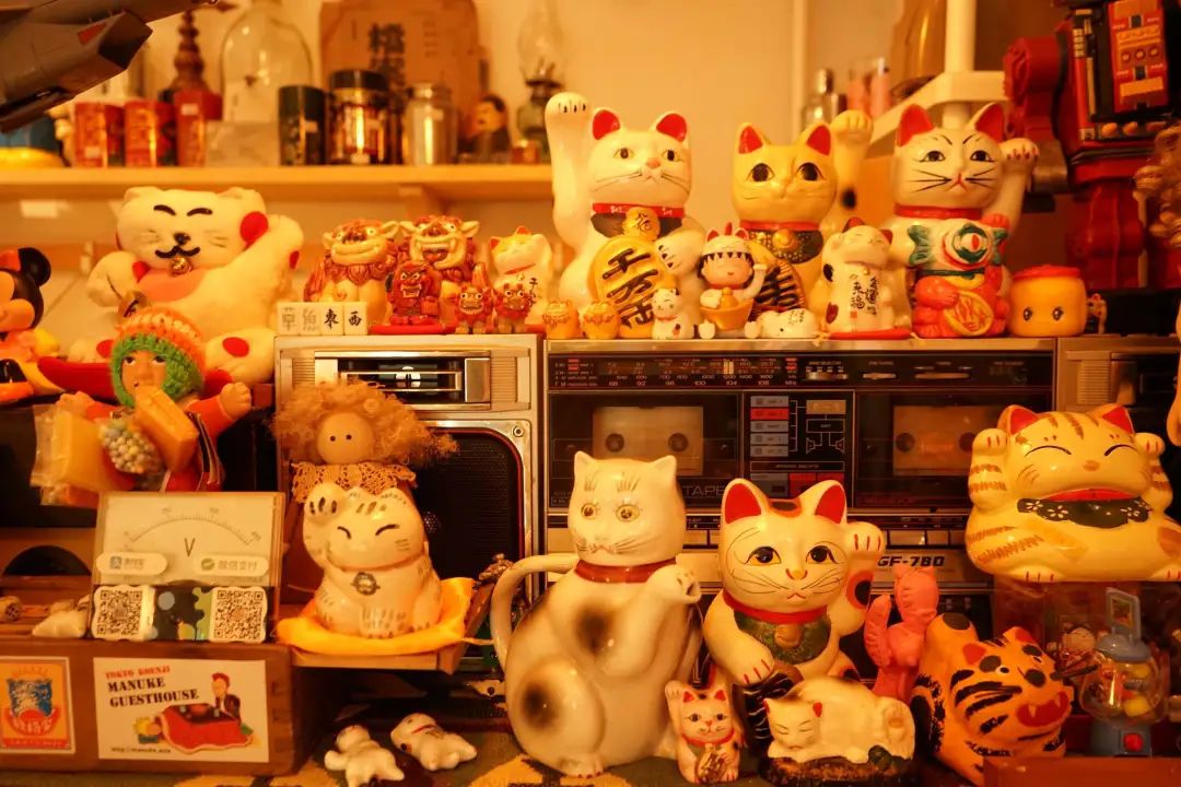 人民公园小南街,人民公园长发魔女