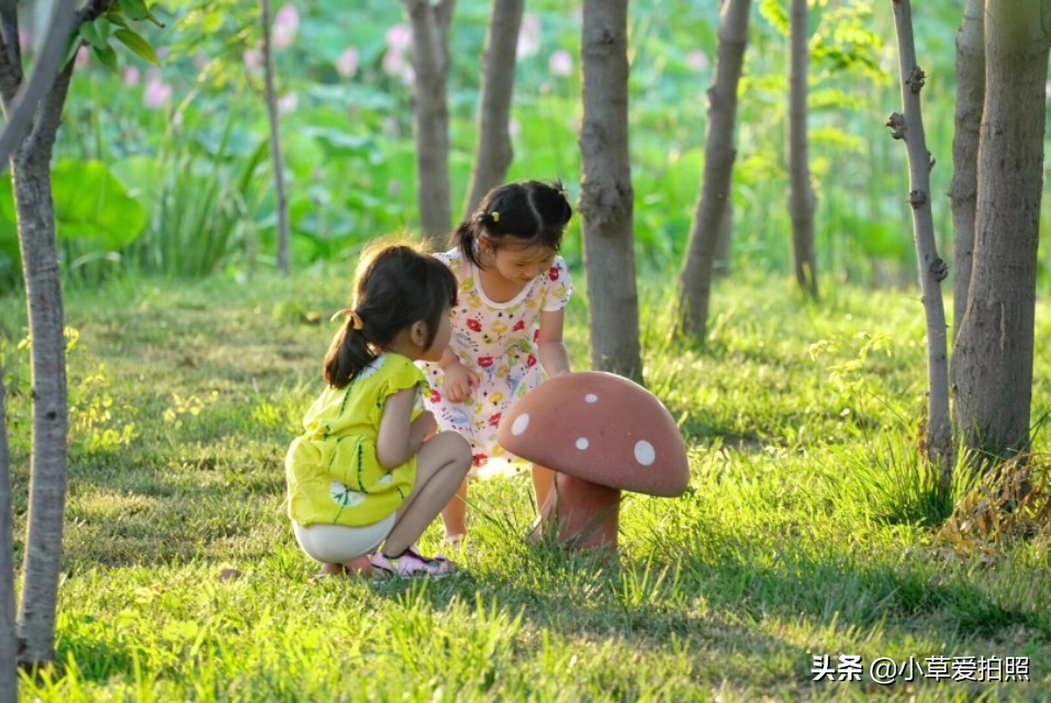 威海羊亭在哪里,威海羊亭花店