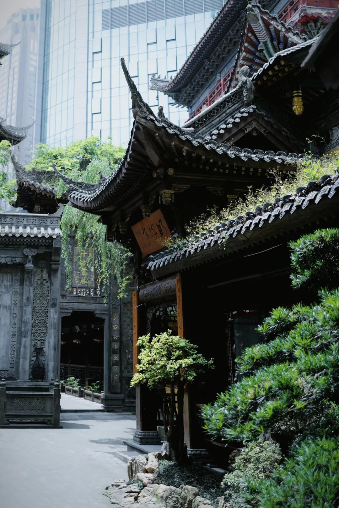 重庆哪几个月不适合旅游,重庆到底值不值得去旅游