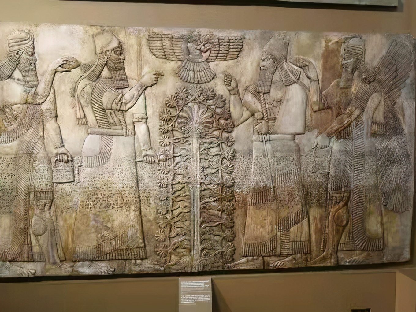 梵高莫奈的画藏在哪里,莫奈高更画