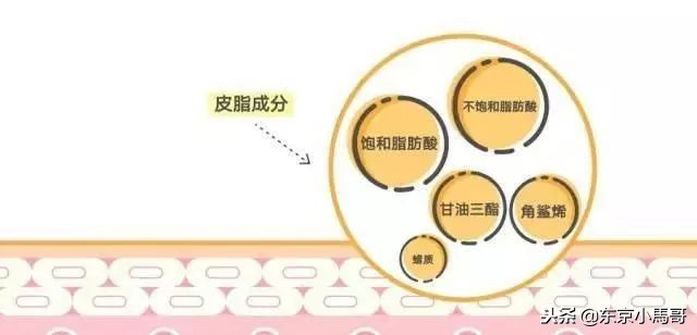 haba是不是真的角鲨烷,theordinary和haba角鲨烷哪个好