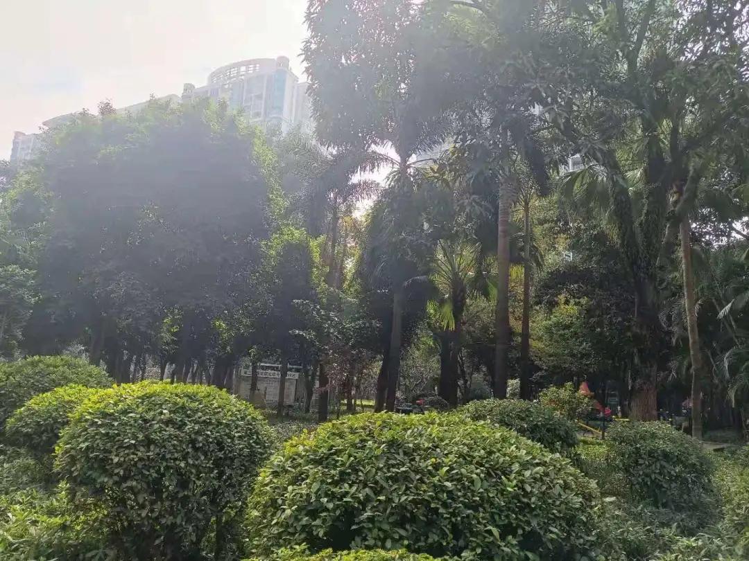 20年楼龄的房子还值得投资吗,20年楼龄房子值得买吗