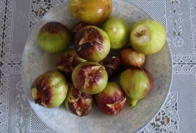 女子送千元生日礼物，闺蜜拿“烂水果”招待，女子吃过后乐坏了