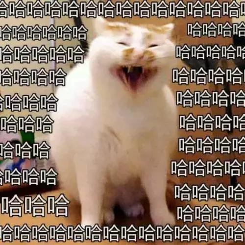 珠海长隆亲子游攻略三天两夜,珠海长隆亲子游最佳攻略