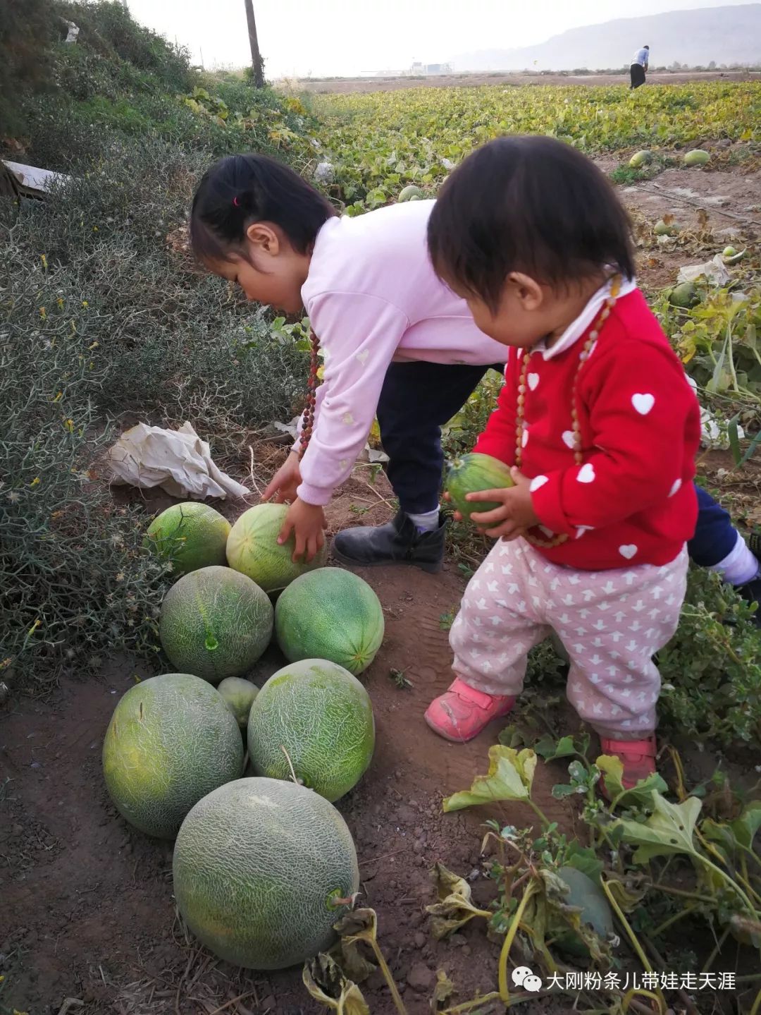 舌尖上的中国旅行,跟着舌尖上的中国去旅游