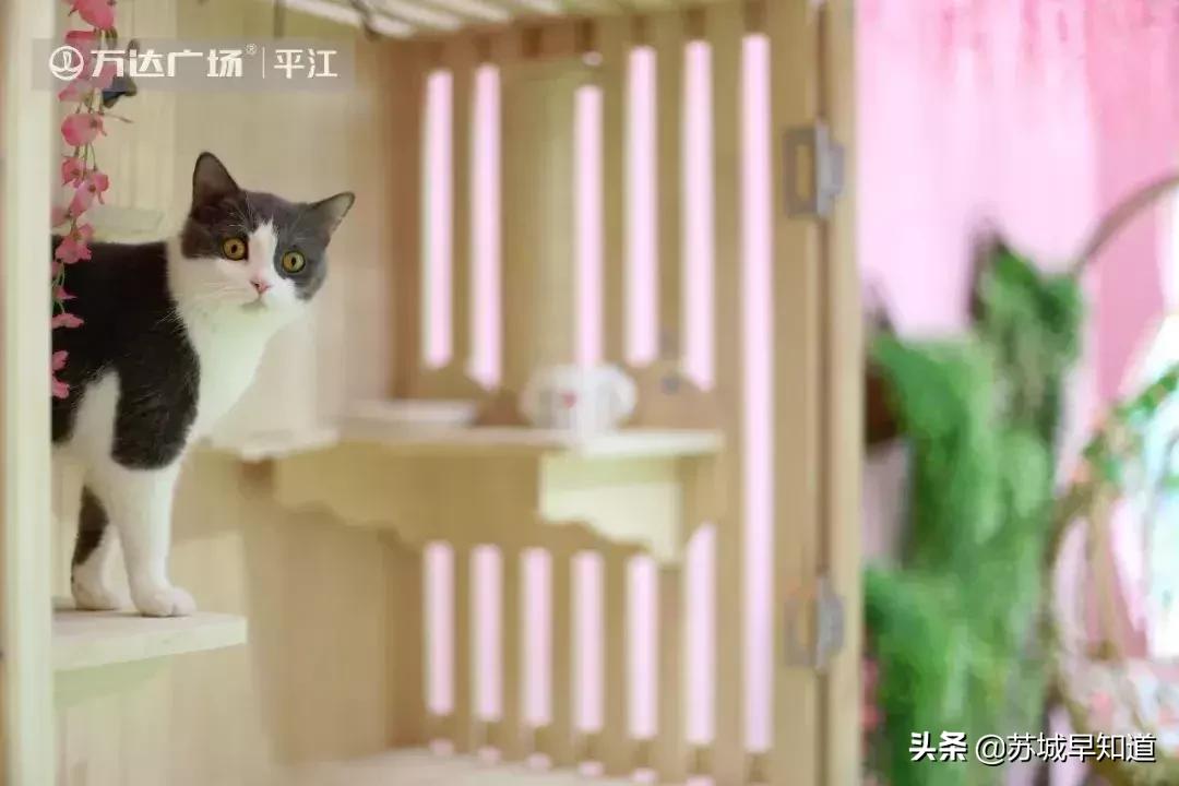 苏州平江路万达广场,苏州万达广场平江店