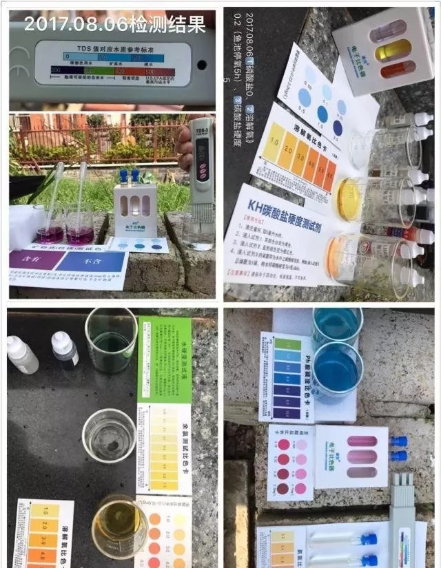 庭院锦鲤鱼池过滤改造,小院锦鲤鱼池建造过程