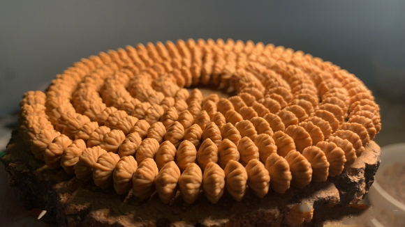 冷门文玩手串,十种最好的手串