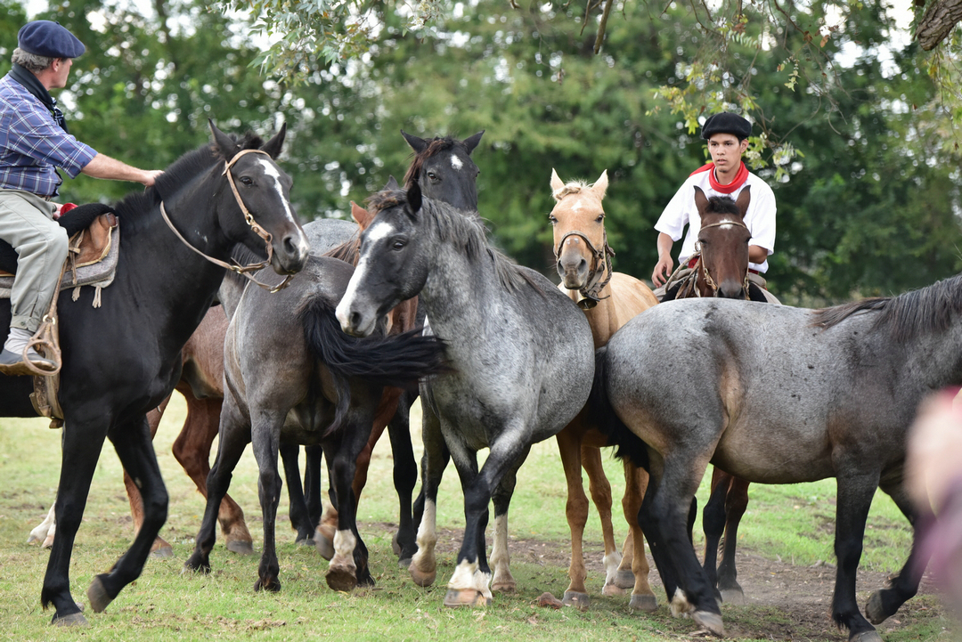 拍马都追不上的成语,拍马都赶不上的成语