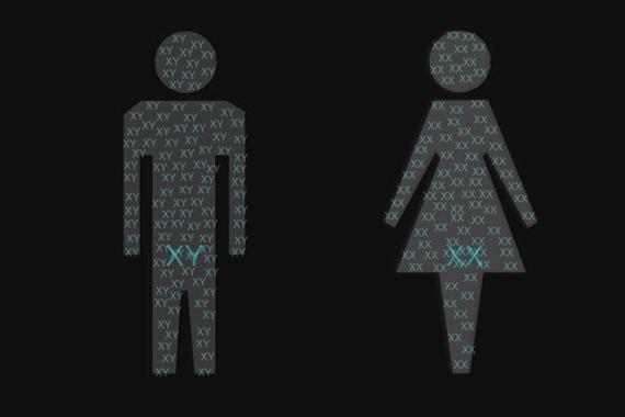 女性的性染色体是xy是对还是错,男性的染色体是XY还是XX