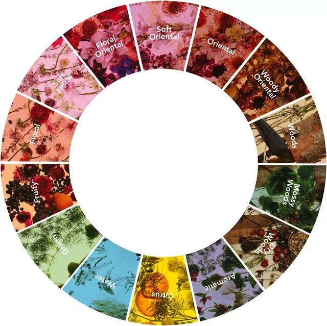 费洛雷蒙香水男士香水,推荐一款男士香水淡香水