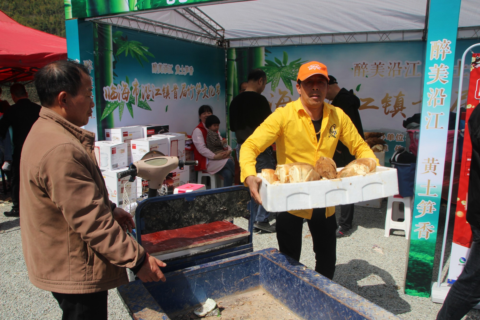 浙江临海沿江镇竹笋,临海市野生竹笋