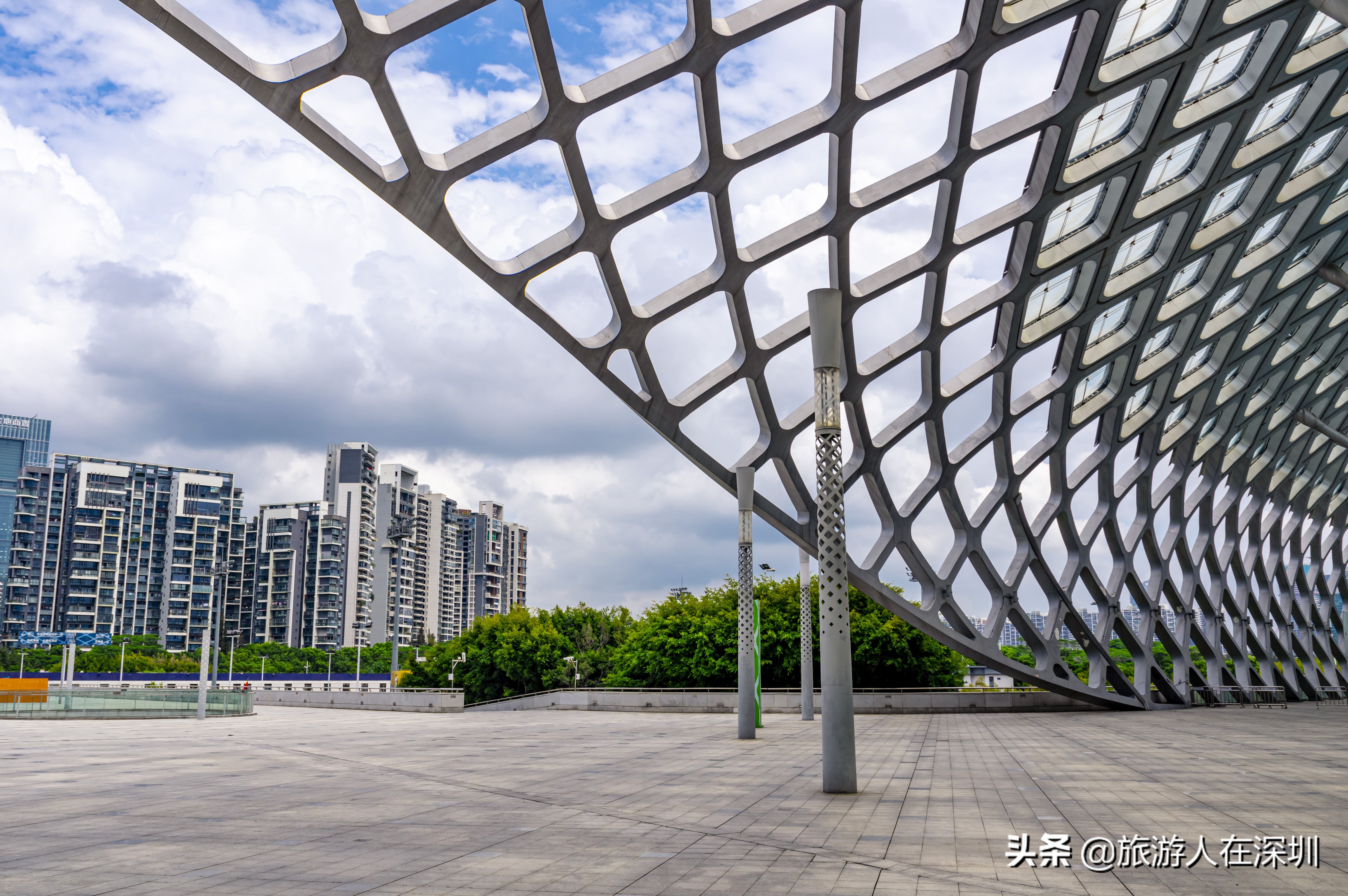 鸟巢体育场建筑特点,深圳湾体育中心像什么