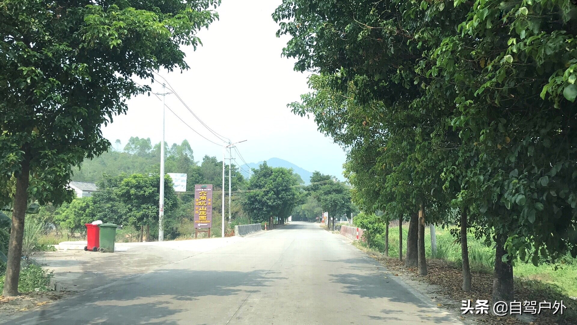 惠州明月山庄露营,罗浮山休闲竹林露营地