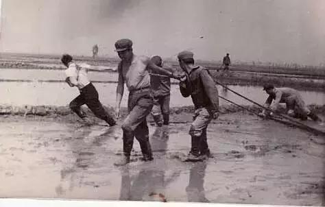 红旗沟知青农场杀人案,1983年黑龙江红旗沟案纪实