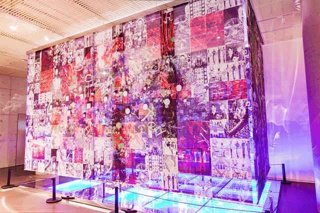 深圳免费一日游好去处推荐,深圳一日游好去处推荐老人