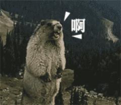 问君能有几多愁花蕊夫人和赵光义,问君能有几多愁现代诗句