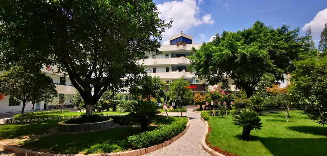 成都龙泉最好的私立小学,成都龙泉最好的小学