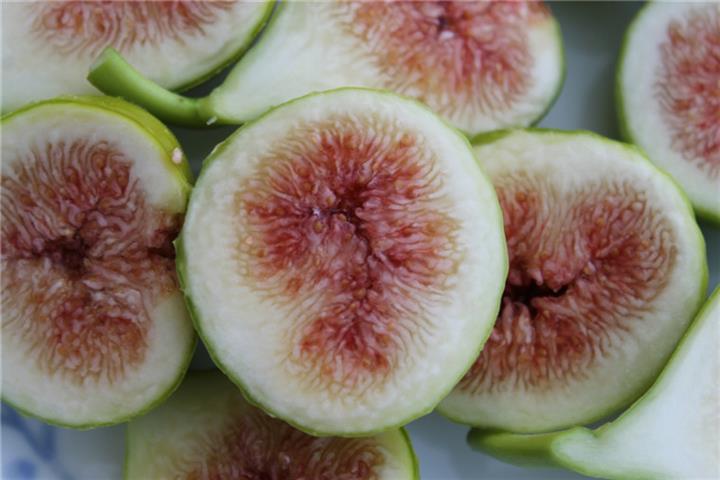 百种味道的果子,百种果实图片