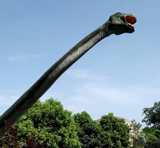 长颈龙为什么脖子那么长,长颈龙的演化过程