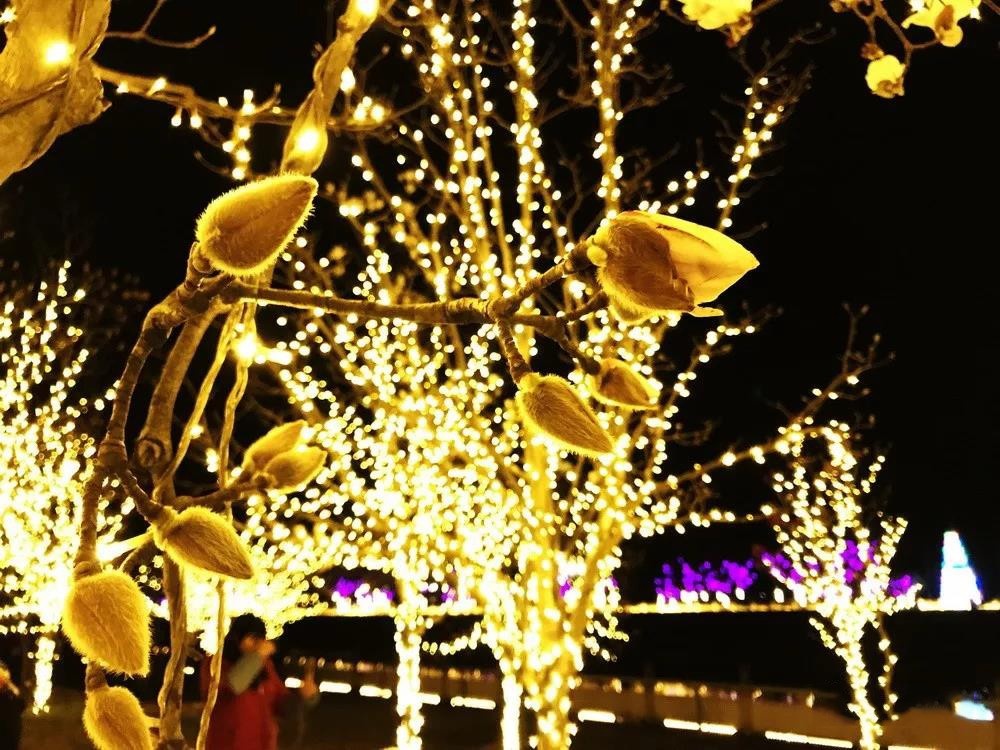 台州踏春好去处,最是一年春好处朗诵