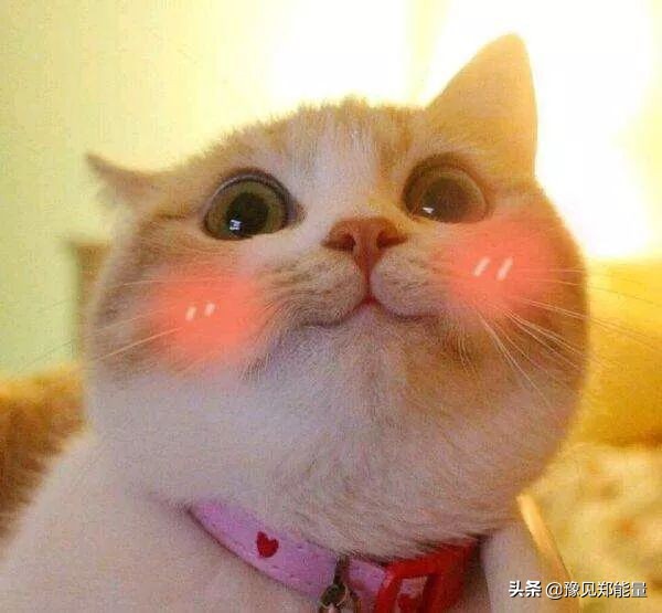 韩式养生汗蒸馆,韩汤汇韩式汗蒸生活馆