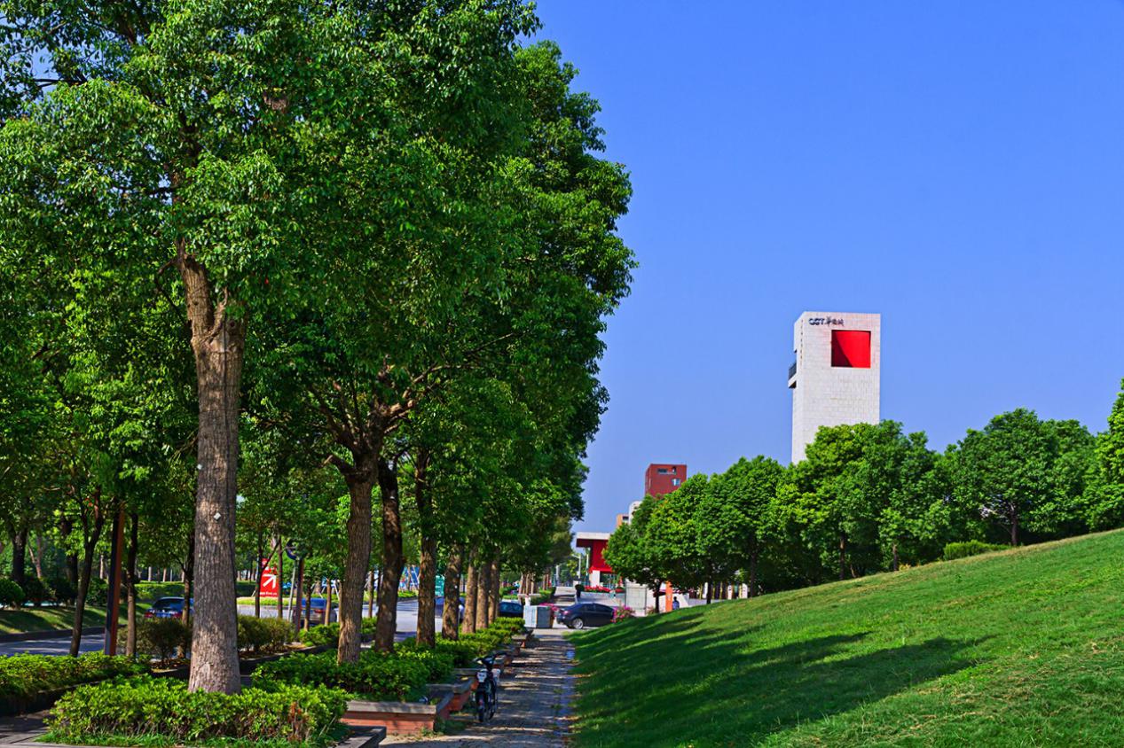 温州市瓯海区华侨城,温州华侨城的规划