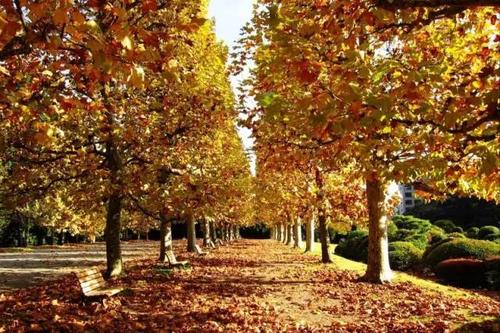 不知道的法国知识,法国属于一个什么类型的国家