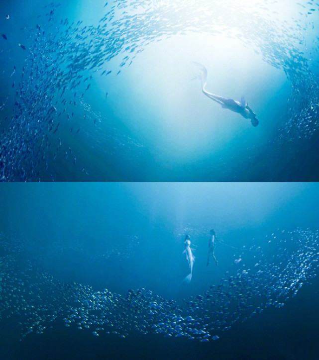 董璇在斛珠夫人饰演谁上线,斛珠夫人董璇鲛人怎么选的角色