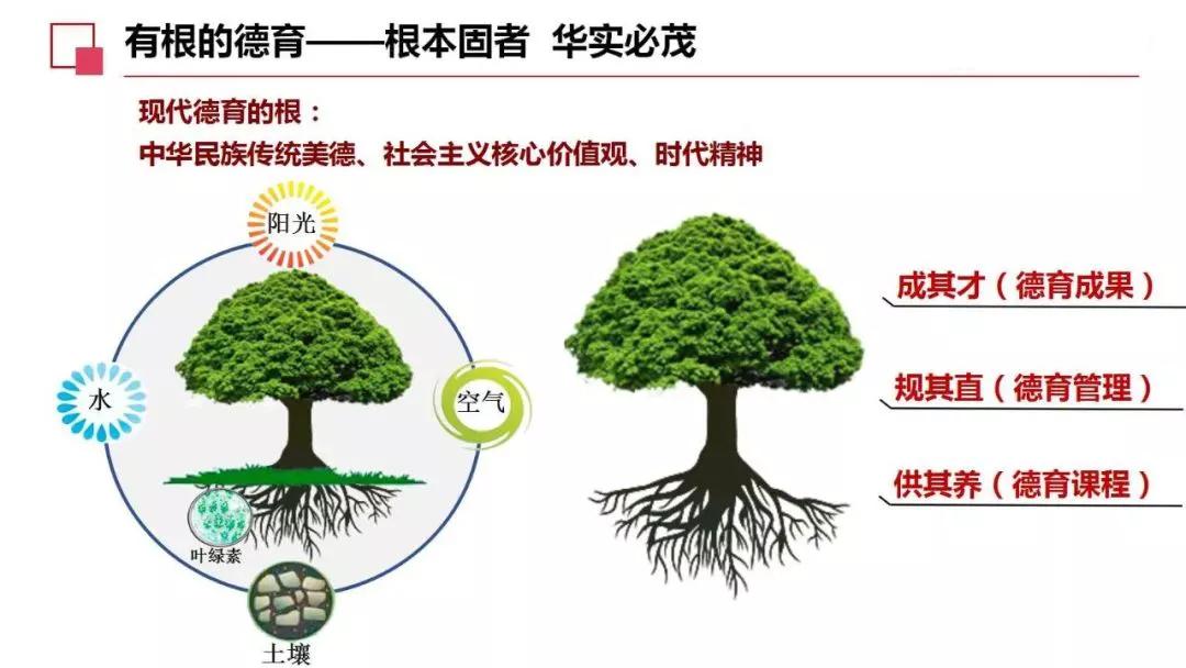 「城市晚报·高中巡礼」长春市第二中学精致学校