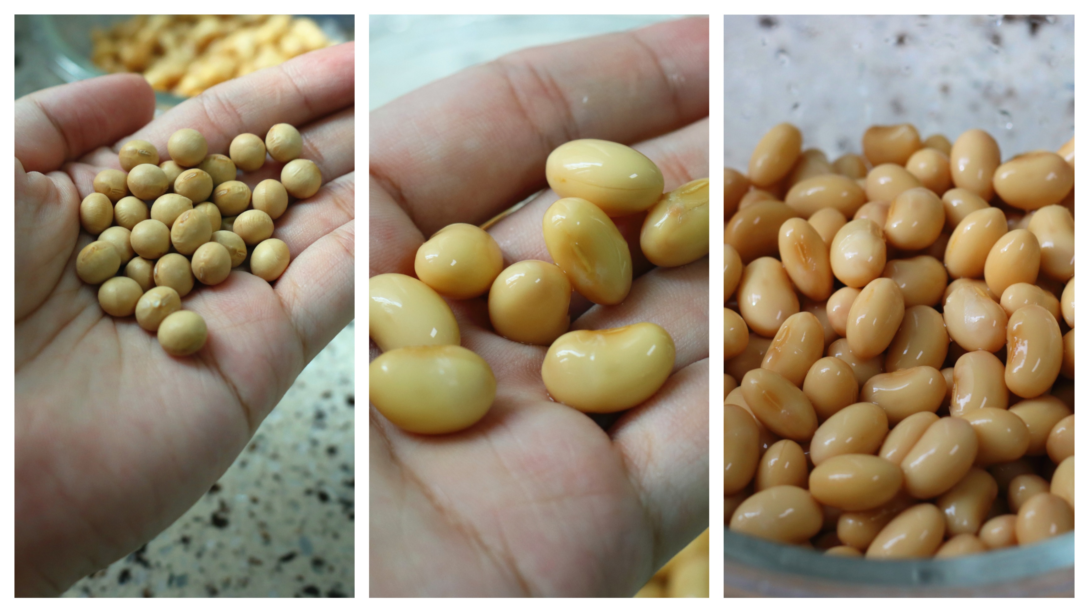 破壁机不用的时候怎么处理,破壁机怎么处理才不糊底