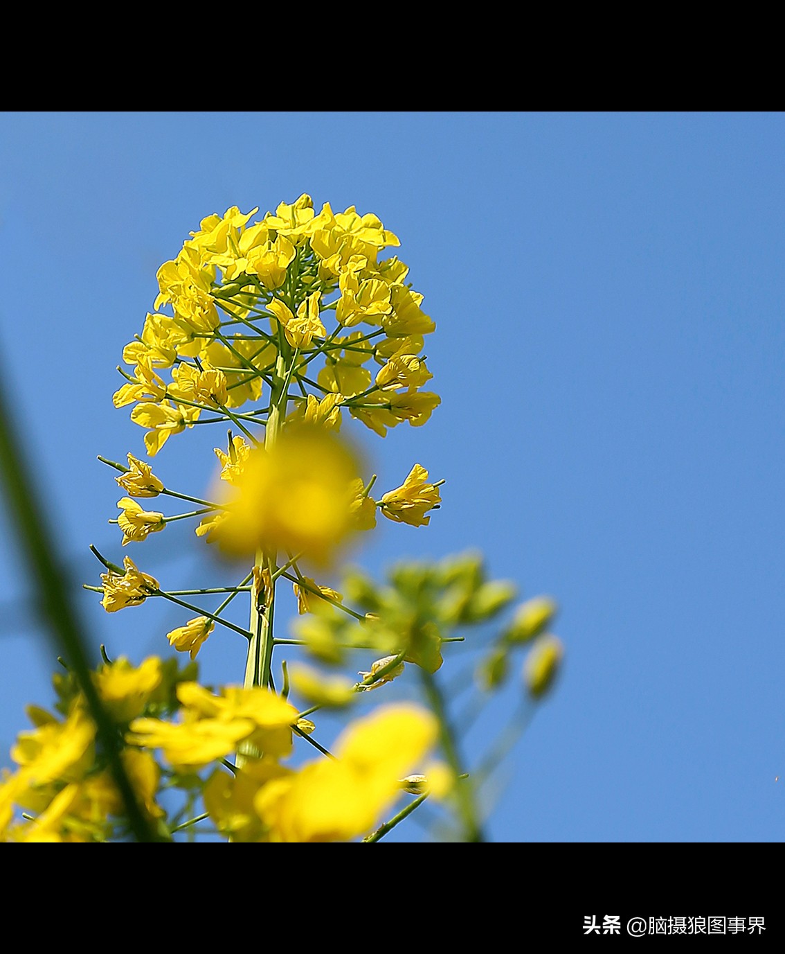 16张照片的风景大片,特别好看的花照片背景图