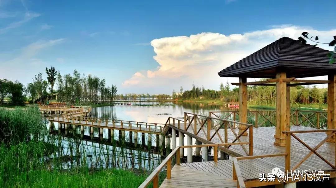 视频丨你好，这里是沌口