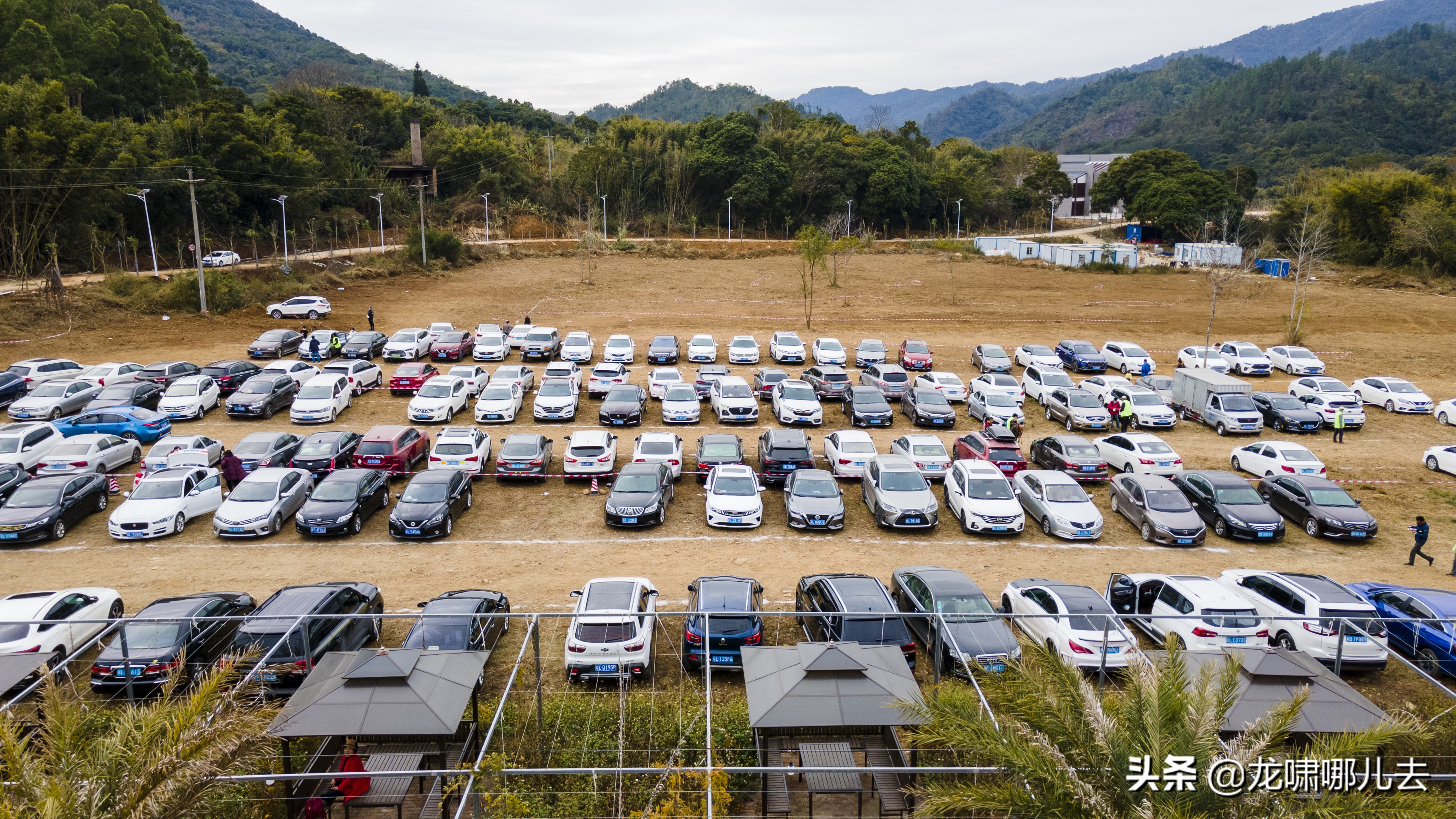 梁化梅园梅花观赏最佳时间,惠州梁化梅园看梅花时间